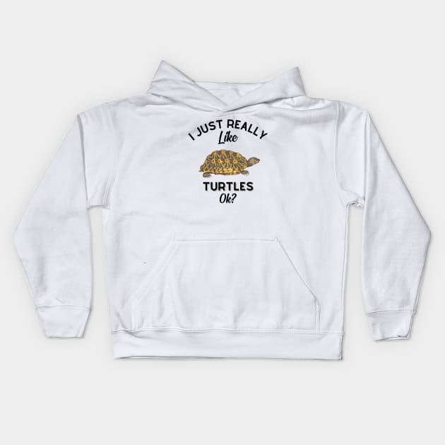 I Just Really Like Turtles OK Kids Hoodie by GoodWills